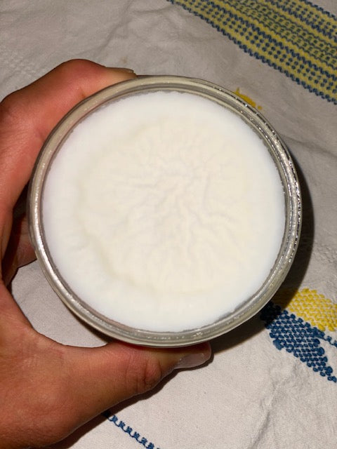 16 oz Glass Jar of Lard